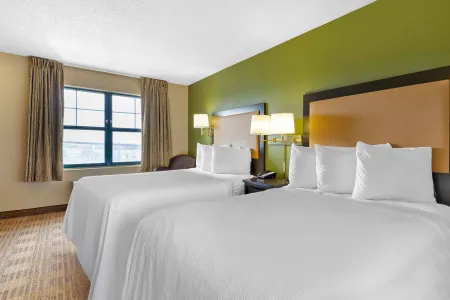 Studio Suite - 2 Full Beds