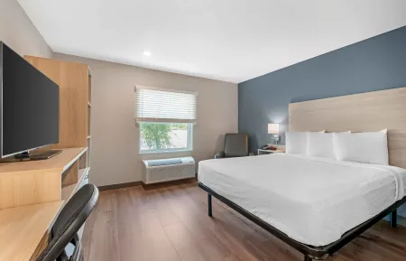 Studio Suite - 1 Queen Bed