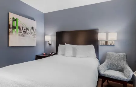 Studio Suite - 1 Queen Bed