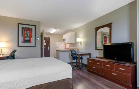 Studio Suite - 1 Queen Bed