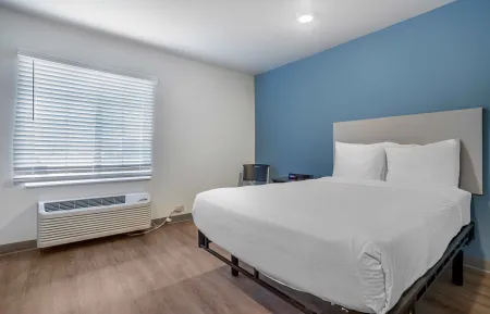 Studio Suite - 1 Full Bed