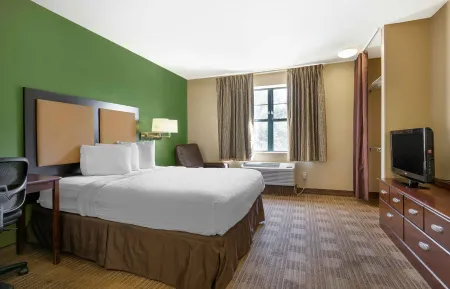 Studio Suite - 1 Queen Bed