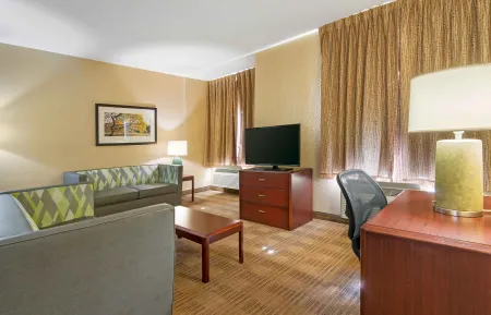 1 Bedroom Suite - 1 King Bed