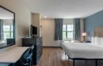 Studio Suite - 1 Queen Bed