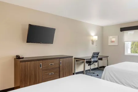 Studio Suite - 2 Queen Beds