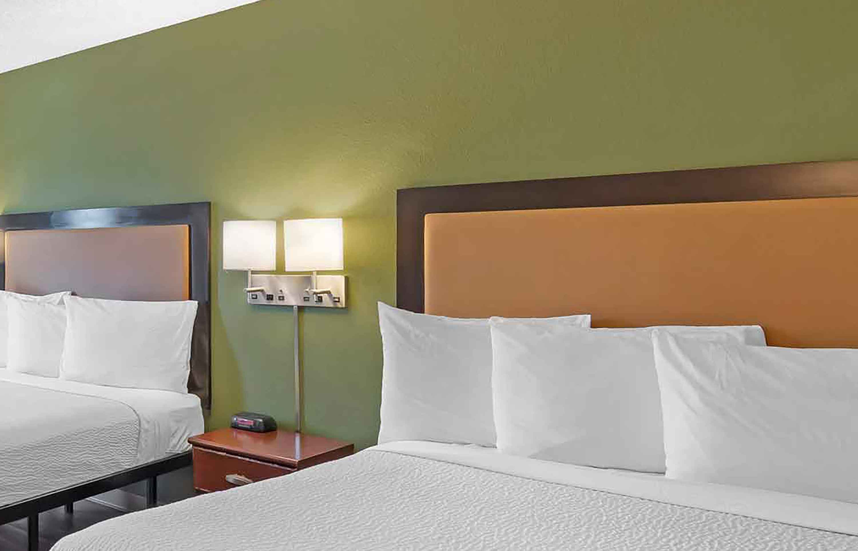 Studio Suite - 2 Full Beds