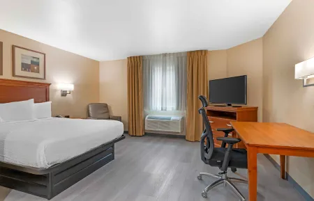 Studio Suite - 1 Queen Bed