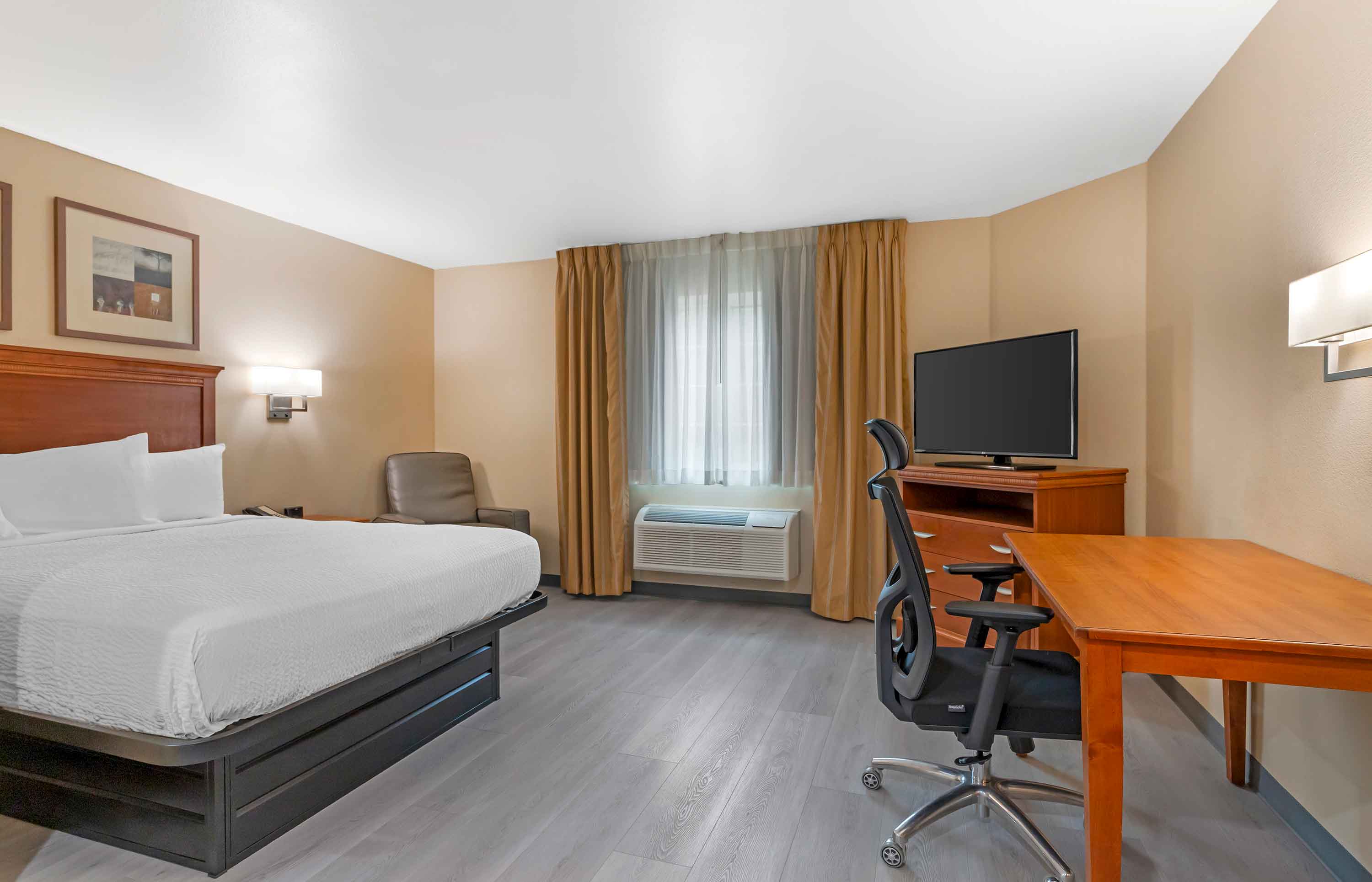 Studio Suite - 1 Queen Bed