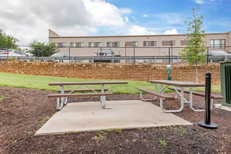 Picnic Area
