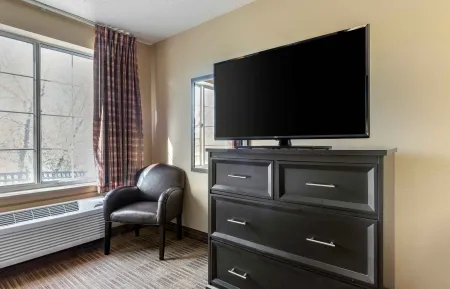 Studio Suite - 1 Queen Bed