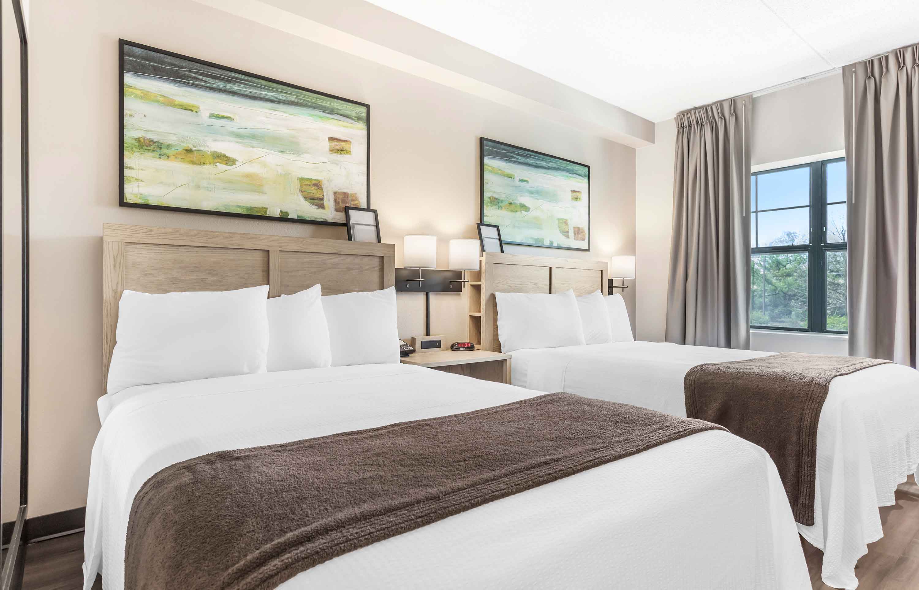 Studio Suite - 2 Full Beds