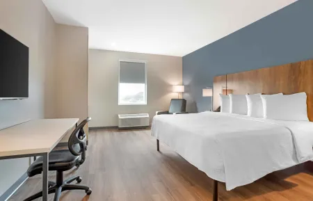 Studio Suite - 1 King Bed