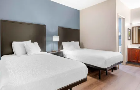 Studio Suite - 2 Full Beds
